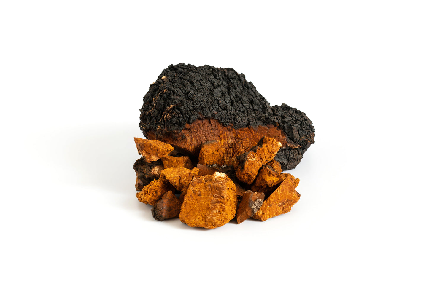 Chaga